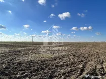 Teren 98.503 mp, de vanzare, ideal parc fotovoltaic, Peciu Nou.