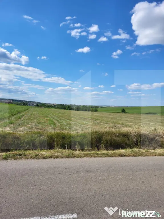 Teren Intravilan Manastirea Doamnei - Botosani (Botosani)
