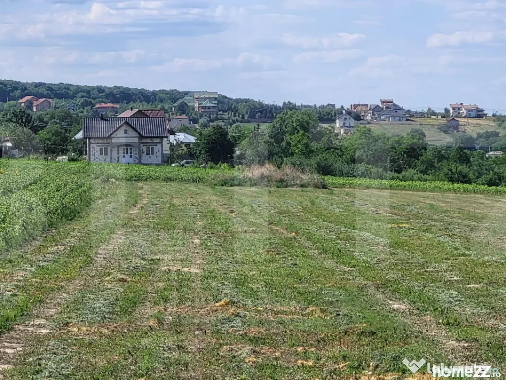 Teren Intravilan Manastirea Doamnei - Botosani (Botosani)