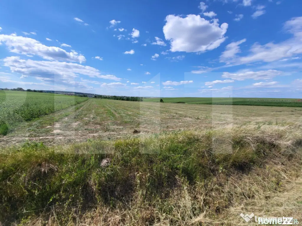 Teren Intravilan Manastirea Doamnei - Botosani (Botosani)