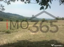 Teren 15 Hectare in sat | Mihaesti | Arges