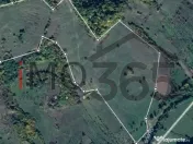 Teren 15 Hectare in sat | Mihaesti | Arges 