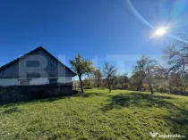 Teren extravilan 2000mp in Târsa