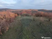 Teren intravilan de vânzare 915 mp – Săldăbagiu de M... 