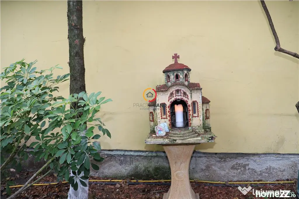 Vila Oportunitate Unica