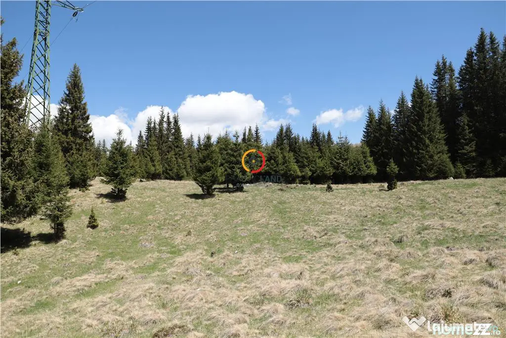 Terenuri speciale Padina Busteni, sunt dispuse ca o veritabi
