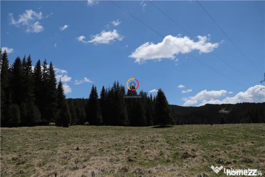 Terenuri speciale Padina Busteni, sunt dispuse ca o veritabi