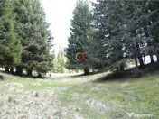 Terenuri speciale Padina Busteni, sunt dispuse ca o veritabi 