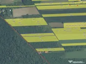 `Teren cu dubla deschidere, langa padure, Snagov - Strada Pa 