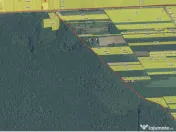 `Teren cu dubla deschidere, langa padure, Snagov - Strada Pa 