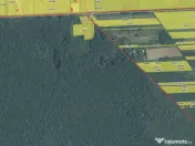 `Teren cu dubla deschidere, langa padure, Snagov - Strada Pa 