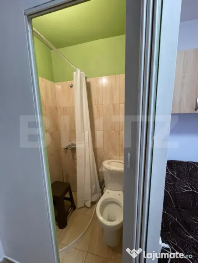 Inchiriere camere de camin cu baie, cocheta, zona Astra