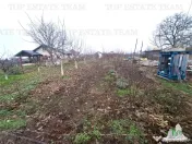 Teren Intravilan Moara Vlasiei 963 mp, Zona Superba, 