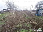 Teren Intravilan Moara Vlasiei 963 mp, Zona Superba, 