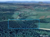 Pădure de vanzare cu zona de cabană Odesti 