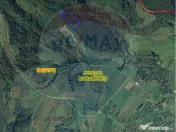 Pădure de vanzare cu zona de cabană Odesti 