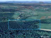 Pădure de vanzare cu zona de cabană Odesti 
