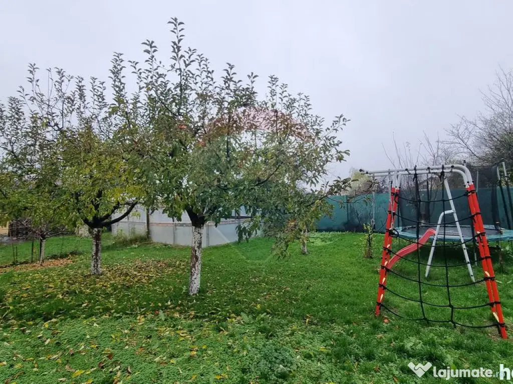 Casă / Vilă de vanzare Belciugatele str. VIILOR