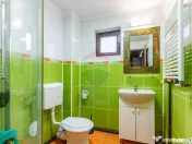 Casă / Vilă de vanzare Belciugatele str. VIILOR 