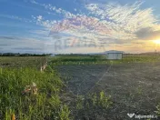 Teren intrare Sanpetru 668mp, str Tudor Arghezi-zona cart... 