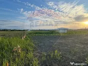 Teren intrare Sanpetru 668mp, str Tudor Arghezi-zona cart... 