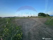 Teren intrare Sanpetru 668mp, str Tudor Arghezi-zona cart... 
