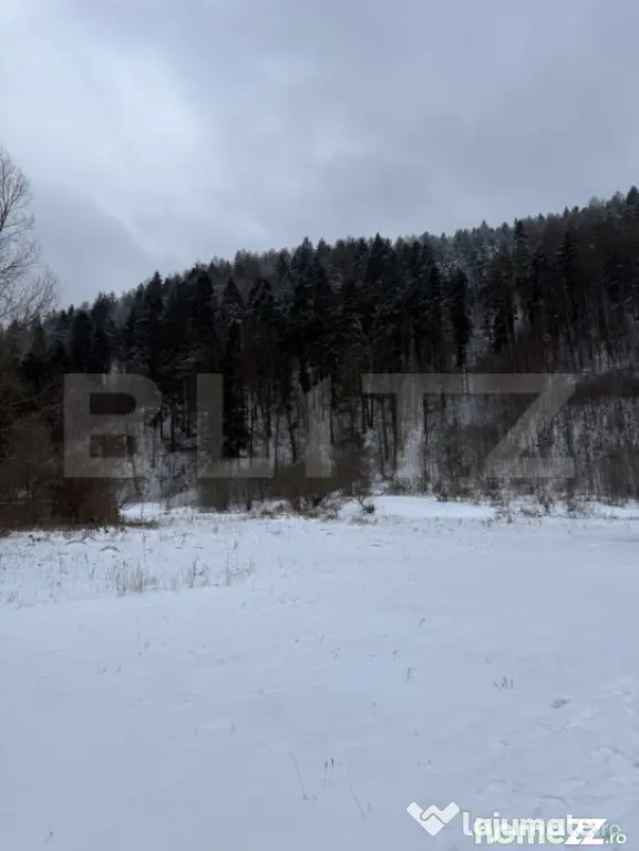 Cabană la munte în inima pădurii la 15 km de Brașov, zon - Tarlungeni (Brasov)