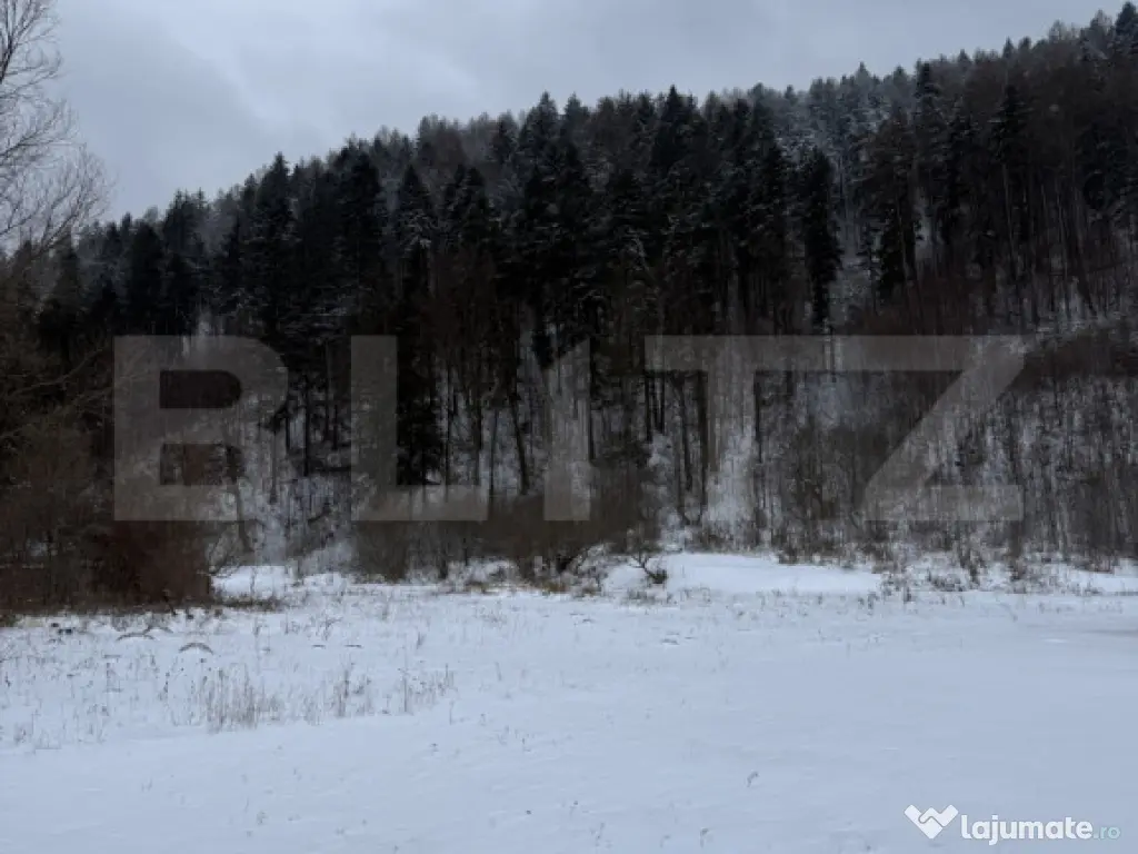 Cabană la munte în inima pădurii la 15 km de Brașov, zon