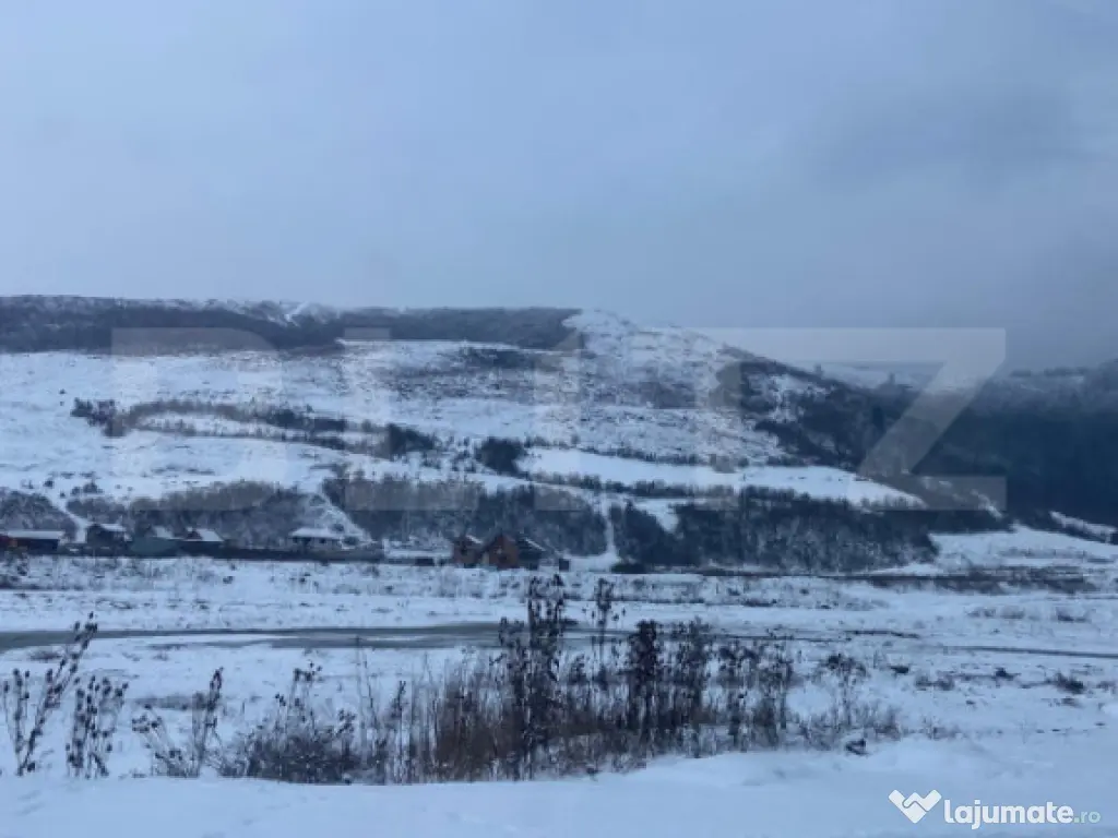 Cabană la munte în inima pădurii la 15 km de Brașov, zon