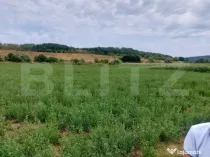 De vanzare teren Fundatura 27500mp - intravilan