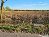 Teren intravilan de vanzare, 2.500 mp, Str Gorunului, zona A