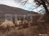 De vanzare Teren extravilan 3300mp - padure, loc. Salicea, j