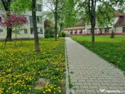 Clinica Luxor- 9 Mai- Ultracentral-3 camere/etaj 3, necesit? 