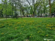 Clinica Luxor- 9 Mai- Ultracentral-3 camere/etaj 3, necesit? 