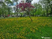 Clinica Luxor- 9 Mai- Ultracentral-3 camere/etaj 3, necesit? 