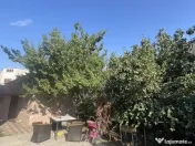 Apartament Casa + Anexa | Traian | Pache | Popa Nan | curte 