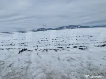 Teren extravilan arabil pretabil investitie casa sau afacere