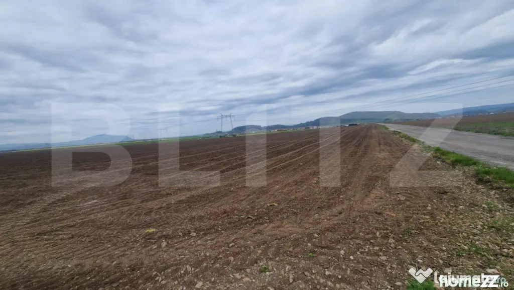 Teren extravilan arabil pretabil investitie casa sau afacere - Harman (Brasov)