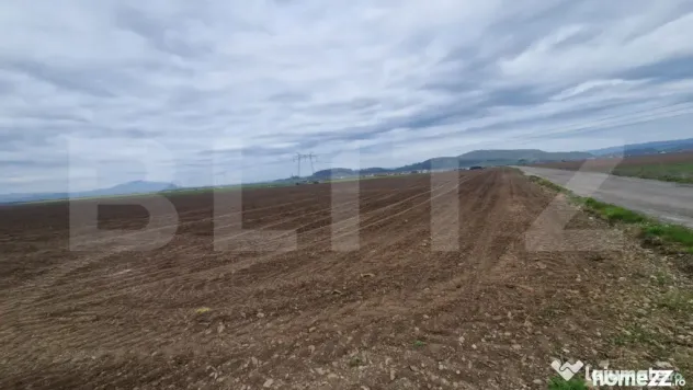 Teren extravilan arabil pretabil investitie casa sau afacere - Harman (Brasov)