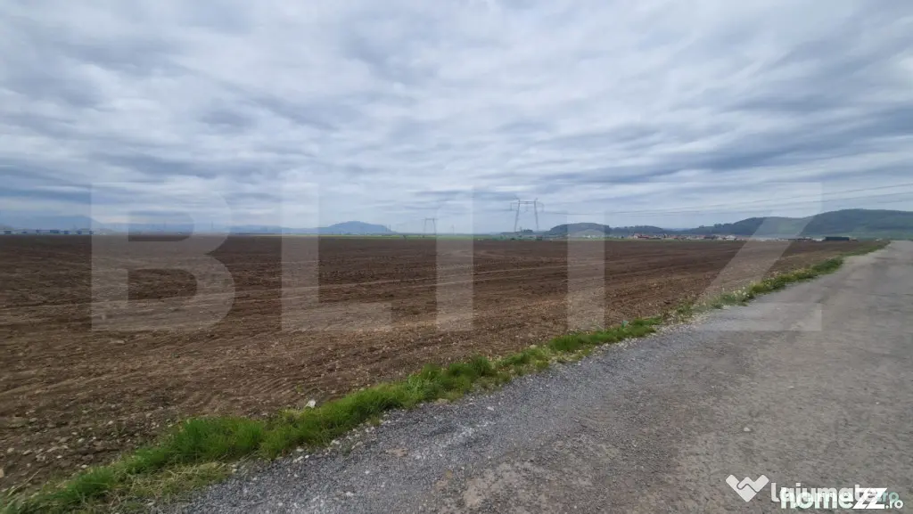 Teren extravilan arabil pretabil investitie casa sau afacere - Harman (Brasov)