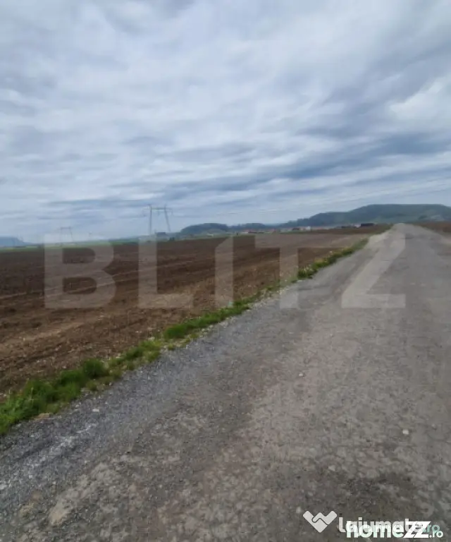 Teren extravilan arabil pretabil investitie casa sau afacere - Harman (Brasov)