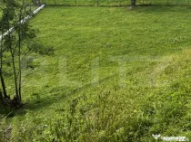 Teren intravilan de vânzare, 6500mp + o casă bătrâneasc?