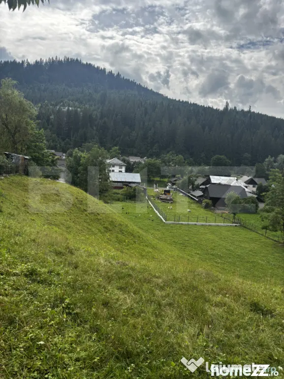 Teren intravilan de vânzare, 6500mp + o casă bătrâneasc? - Suceava (Suceava)
