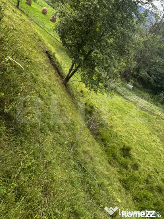 Teren intravilan de vânzare, 6500mp + o casă bătrâneasc? - Suceava (Suceava)