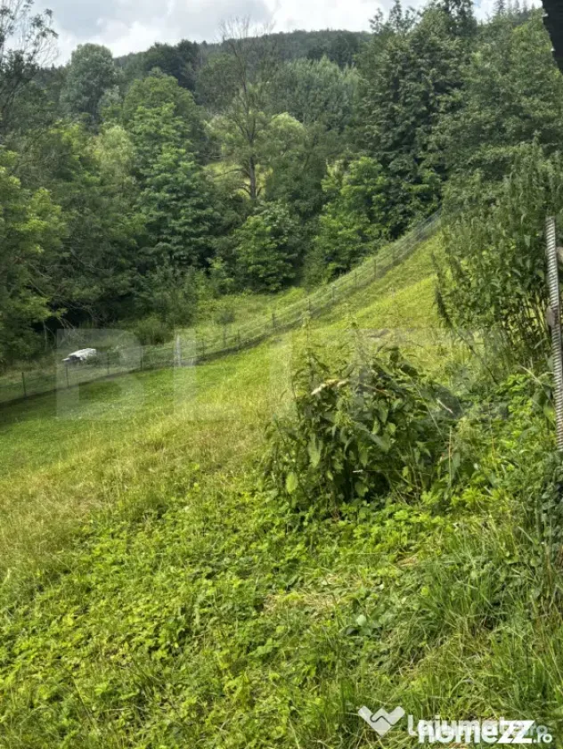Teren intravilan de vânzare, 6500mp + o casă bătrâneasc? - Suceava (Suceava)
