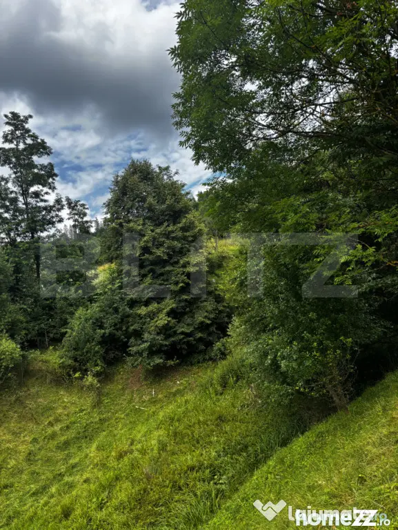 Teren intravilan de vânzare, 6500mp + o casă bătrâneasc? - Suceava (Suceava)