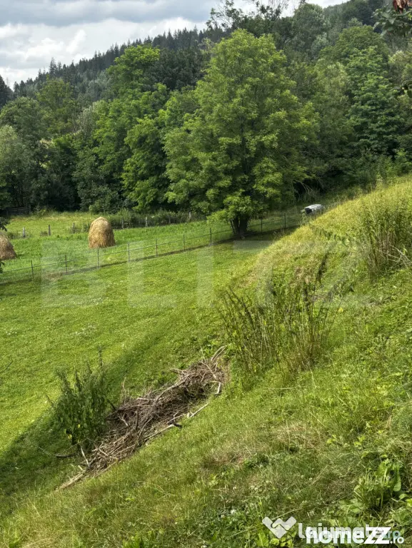 Teren intravilan de vânzare, 6500mp + o casă bătrâneasc? - Suceava (Suceava)