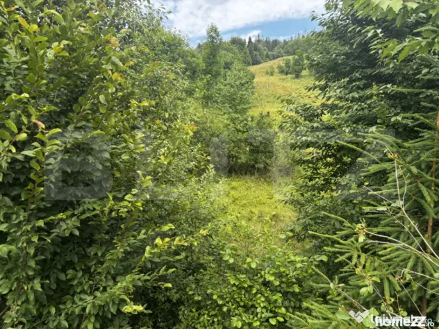 Teren intravilan de vânzare, 6500mp + o casă bătrâneasc? - Suceava (Suceava)
