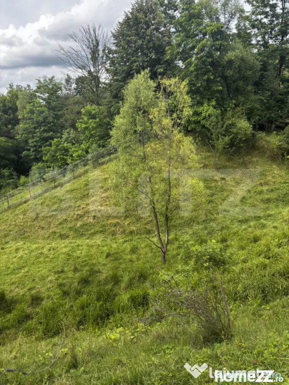 Teren intravilan de vânzare, 6500mp + o casă bătrâneasc? - Suceava (Suceava)