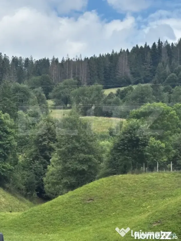 Teren intravilan de vânzare, 6500mp + o casă bătrâneasc? - Suceava (Suceava)